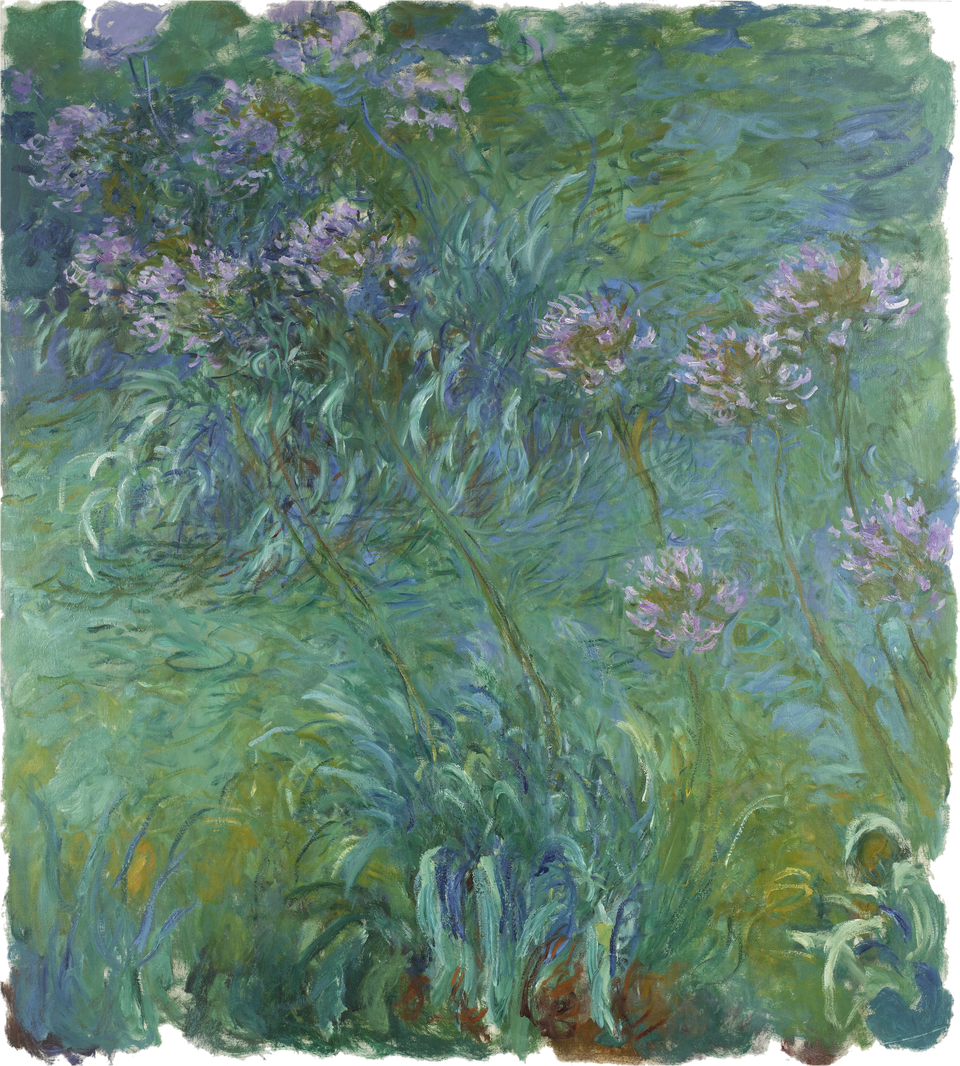 Agapanthus, de Claude Monet: un jardín de hojas largas y curvas en verdes y azules, con racimos de flores lila arriba a la izquierda y a la derecha. Al pie, entre las hojas, unos toques de color óxido. No hay horizonte ni un punto central. Alrededor queda una orilla de lienzo sin pintar.