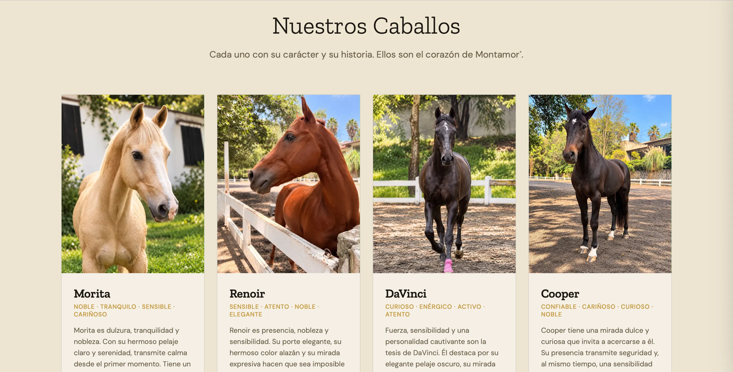 Screenshot de los caballos de Montamor.